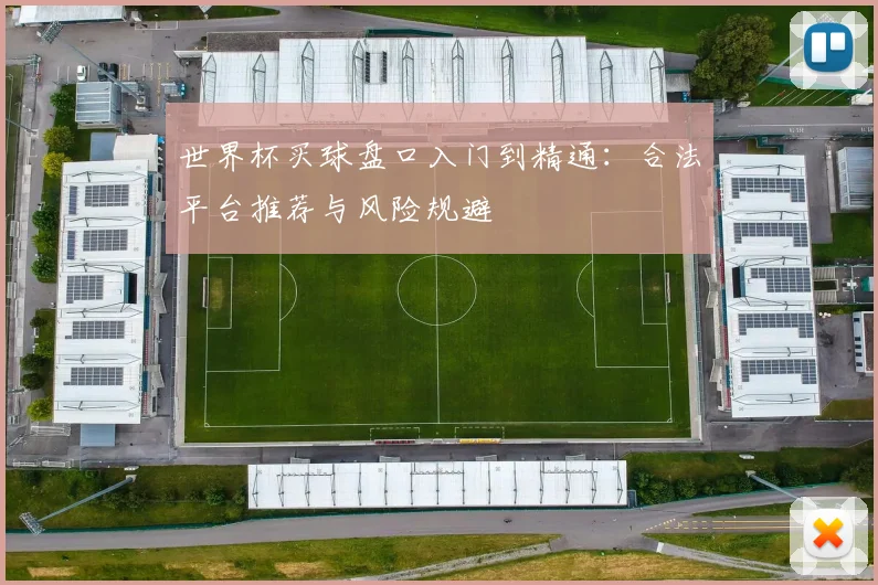 世界杯买球盘口入门到精通：合法平台推荐与风险规避