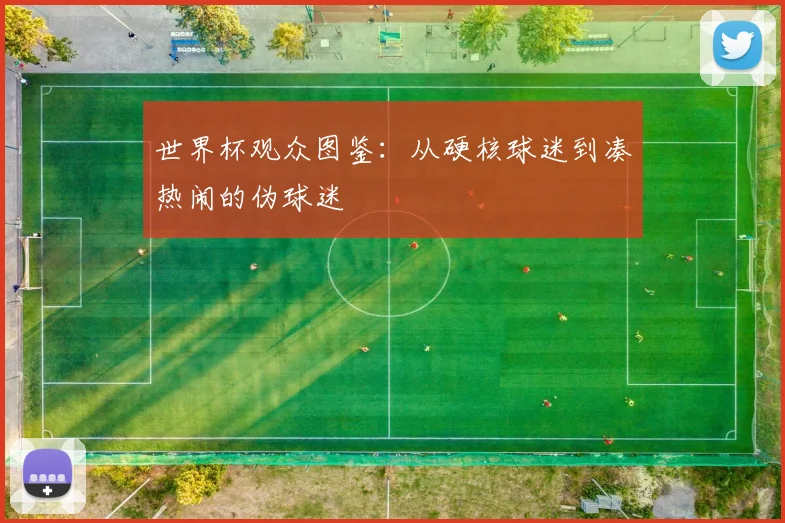 世界杯观众图鉴：从硬核球迷到凑热闹的伪球迷