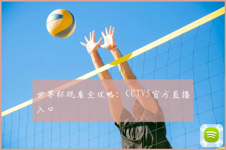世界杯观看全攻略：CCTV5官方直播入口