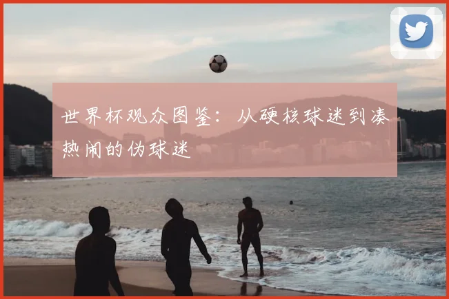 世界杯观众图鉴：从硬核球迷到凑热闹的伪球迷