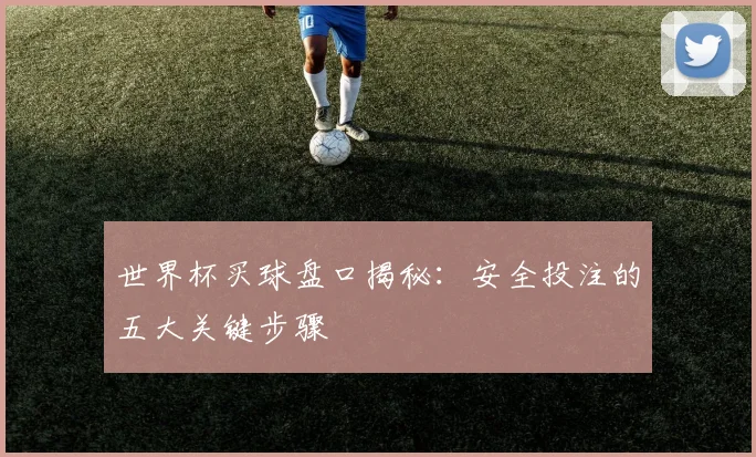 世界杯买球盘口揭秘：安全投注的五大关键步骤